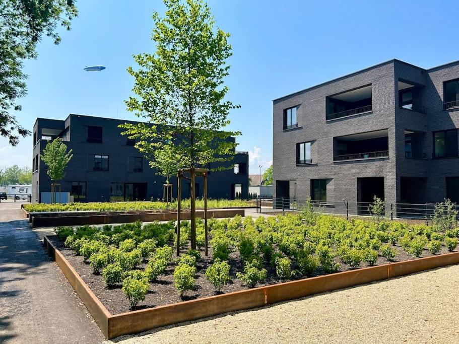 Seeparkvilla - Wohlfuehlen Am See Und Im Gruenen เบรเกนซ์ ภายนอก รูปภาพ