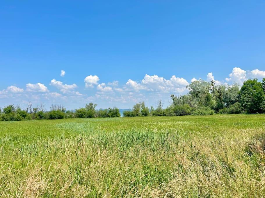 Seeparkvilla - Wohlfuehlen Am See Und Im Gruenen เบรเกนซ์ ภายนอก รูปภาพ