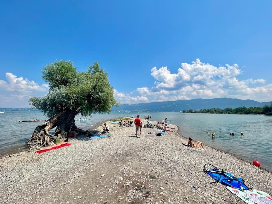 Seeparkvilla - Wohlfuehlen Am See Und Im Gruenen เบรเกนซ์ ภายนอก รูปภาพ